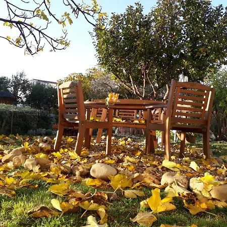 Balen Apartman Barbat na Rabu